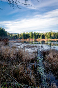 Scenic view of lake against sky