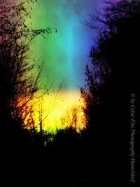 Low angle view of silhouette trees against sky at sunset