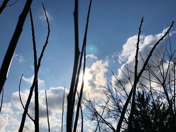 Low angle view of bare trees against sky