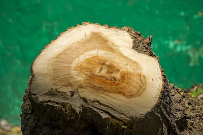 Sawn wood closeup