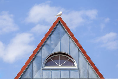 Seagull on a rooftop