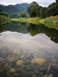 Scenic view of lake