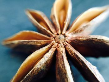 Close up of star anise on table