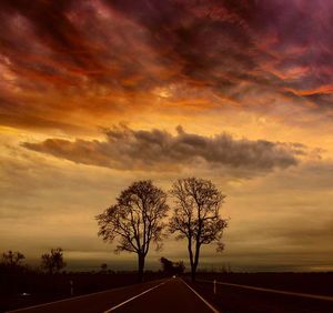 Silhouette tree by road against sky during sunset