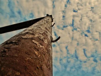 Low angle view of bird perching on metal against sky