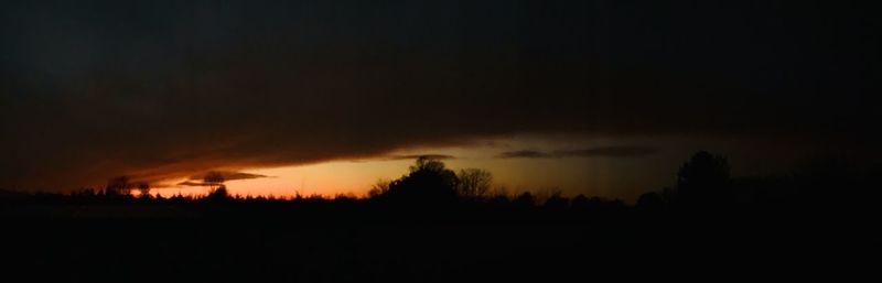 Silhouette trees against sky during sunset