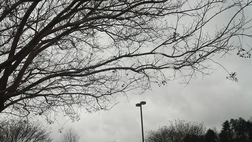 Low angle view of bare tree against cloudy sky