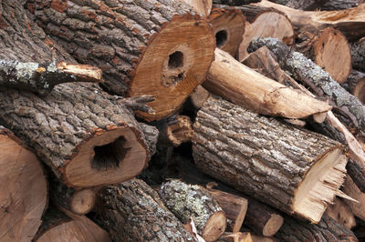 High angle view of wooden logs