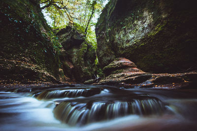 Scenic view of waterfall in forest