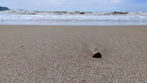Landscape photo of a small stone in the middle of the beach sand