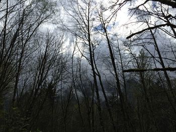 Low angle view of bare trees against cloudy sky