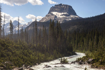 Panoramic view of a river, trees and mountains against sky