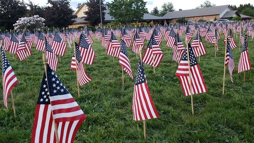 Multi colored flags on leaves at cemetery