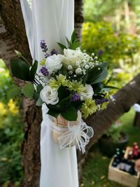 Close-up of white flowers on plant