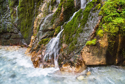 Scenic view of waterfall in forest