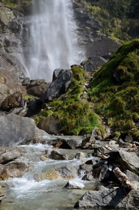 Scenic view of waterfall in forest