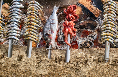 Barbeque with seafood grilled on stick