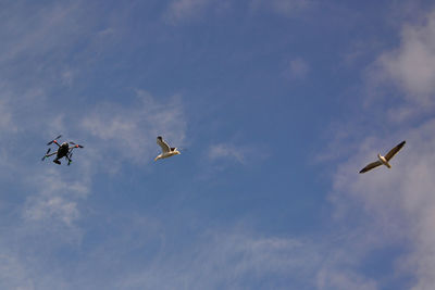 Low angle view of airplane flying in sky