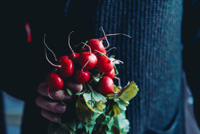 Midsection of person holding radishes at home