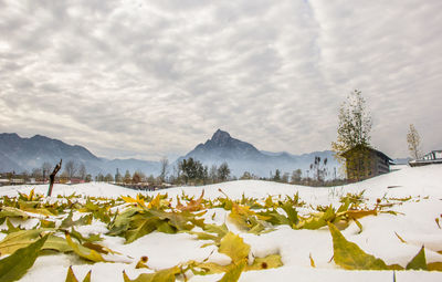 Snow covered landscape against sky