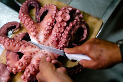 Close-up of human hands cutting dead octopus
