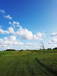 Scenic view of field against sky