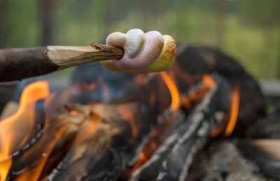 Close-up of marshmallow by campfire 