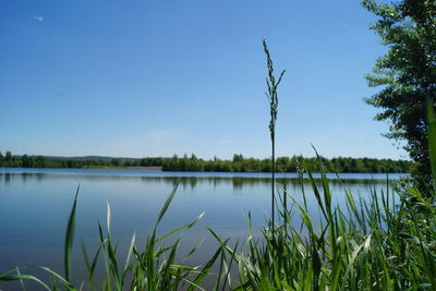 Scenic view of lake against blue sky