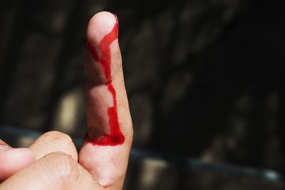 Close-up of hand holding red leaf