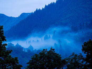 Panoramic view of trees against sky