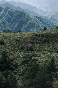 Scenic view of field against mountains