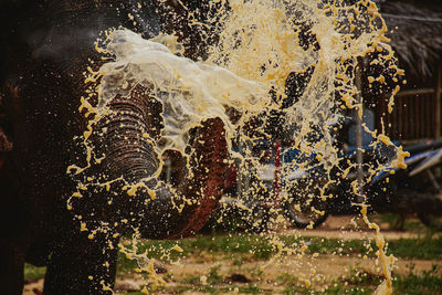 Close-up of splashing water fountain