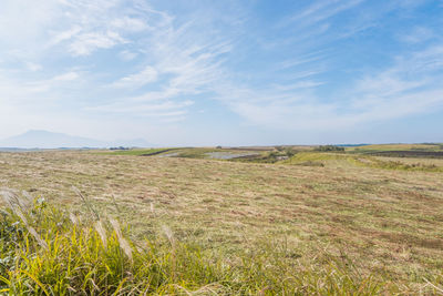 Scenic view of field against sky