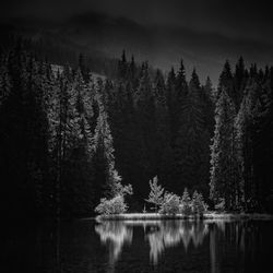 Scenic view of lake and trees against sky