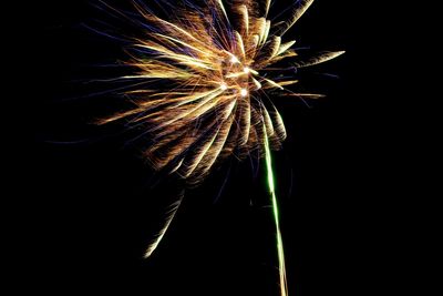 Low angle view of firework display against sky at night