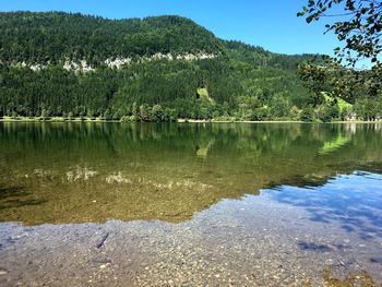 Scenic view of lake in forest against sky