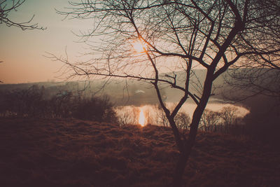 Bare trees on landscape against sky at sunset