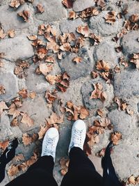 Low section of person standing on autumn leaves