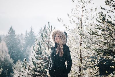 Bare trees against sky