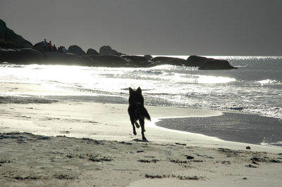 Rear view of silhouette man walking on beach against sky