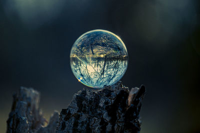 Close-up of crystal ball against trees