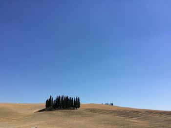 Scenic view of agricultural field against clear blue sky