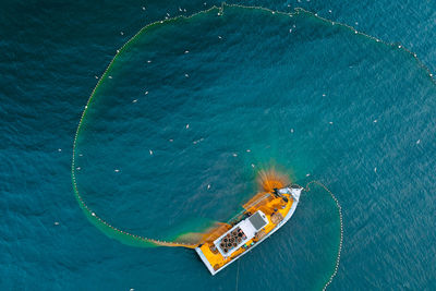 Aerial view of people fishing in sea