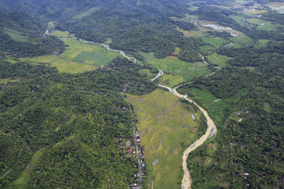 High angle view of agricultural field