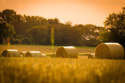 Hay bales on field against sky