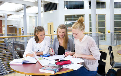 Young women studying together