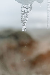 Close-up of frozen water