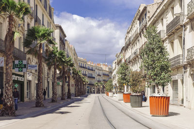 Street amidst trees against sky in city