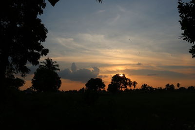 Low angle view of silhouette trees against sky during sunset