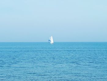 Sailboat sailing on sea against clear sky